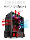 13.webp