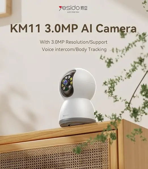 61pN9yjF4kL._AC_SX522_.webp