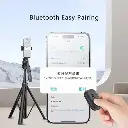 51X2DPnTYpL._AC_SX522_.webp