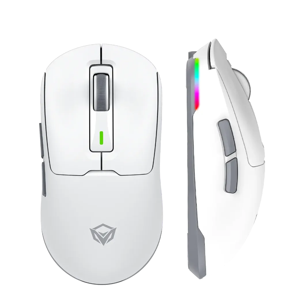 png80-t3-scale100.webp