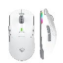 png80-t3-scale100.webp