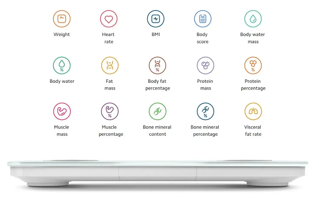 Xiaomi-Body-Composition-Scale-S400-Messwerte[1].webp