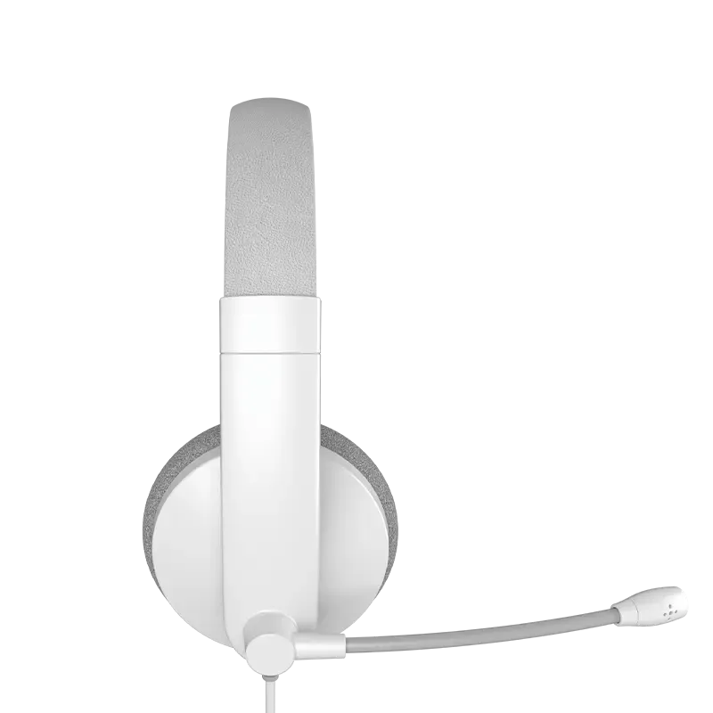 png80-t3-scale100 (5).webp