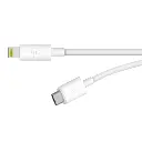 Belkin-USB-C-Wall-Charger-20W-with-Type-C-to-Lightning-Cable-7.webp