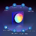 61U8lQTliaL._AC_SL1500_.webp