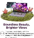 81e+sK+U7UL._AC_SX466_.webp