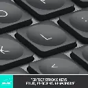 61YopF6MRnL._AC_SL1500_.webp