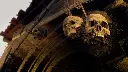 71mDyvu979L._SX522_.webp