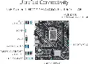 81Hb-1ionRL._AC_SX679_.webp