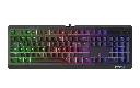 1553155482-1459.webp