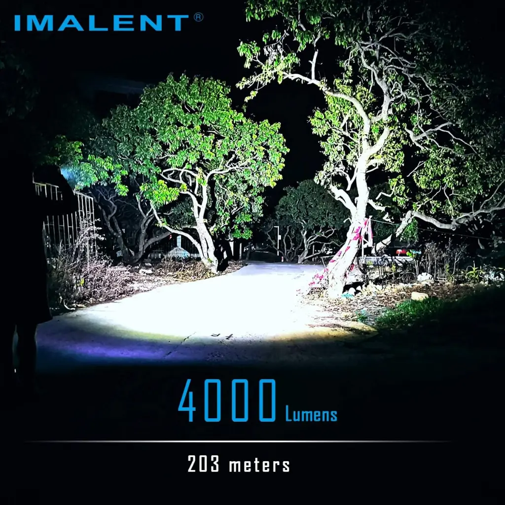 81TvismB09L._AC_SL1200_.webp