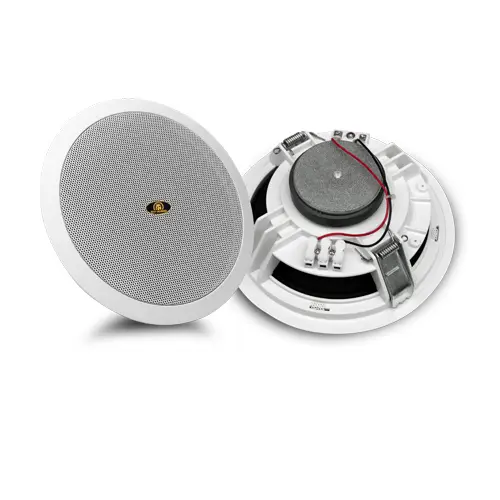 amplified-bluetooth-ceiling-speaker-passive.webp