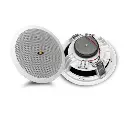 amplified-bluetooth-ceiling-speaker-passive.webp