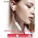 7998553.webp