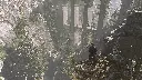 A1kL3Wqj2xL._SL1500_.webp