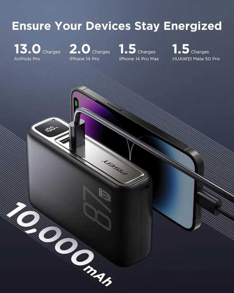 QUICK CHARGER PISEN 3.webp