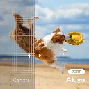 81txWmn3daL._AC_SL1500_.webp