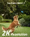 3_ec32bab9-d473-48db-95c8-d284b4c1bd32_3840x.webp