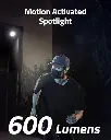 615UWpPV4gL._AC_SX466_.webp