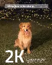 81pWA-Quh0S._AC_SX679_.webp