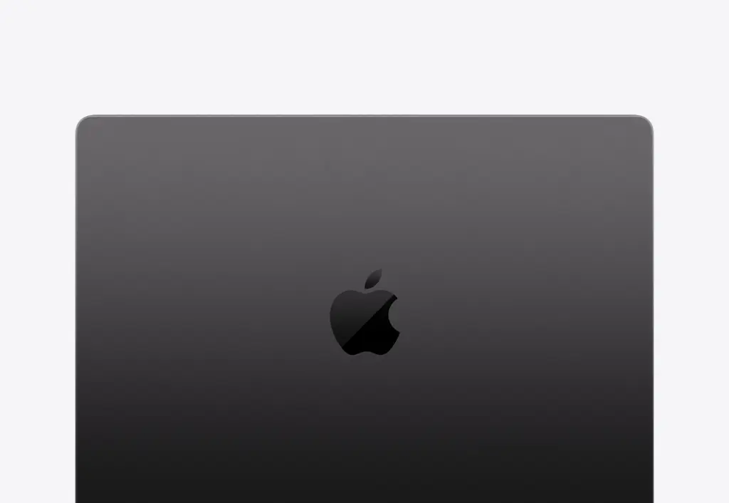 1.webp