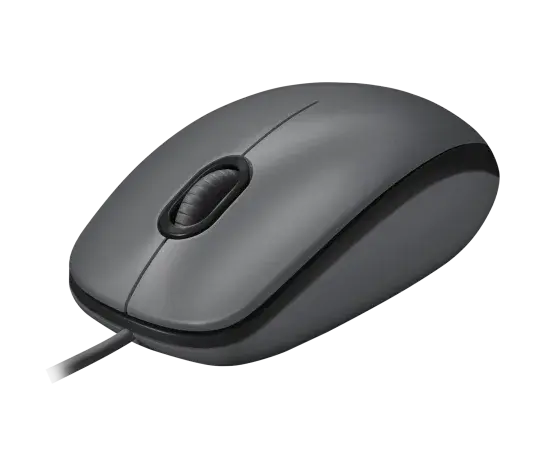 3.webp