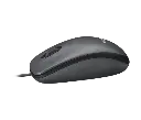 4.webp