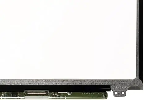 3.webp
