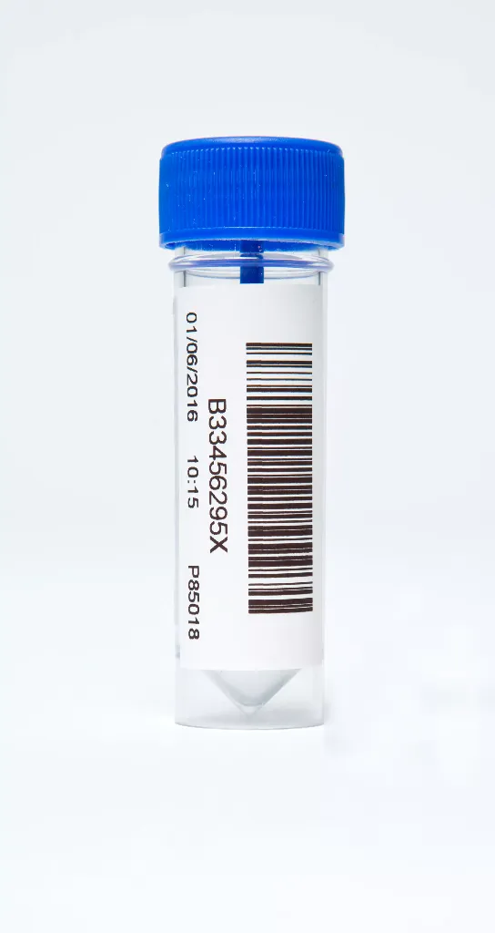 TZe-241_Med.webp