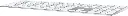51wNtViRyxL._AC_SL1500_.webp