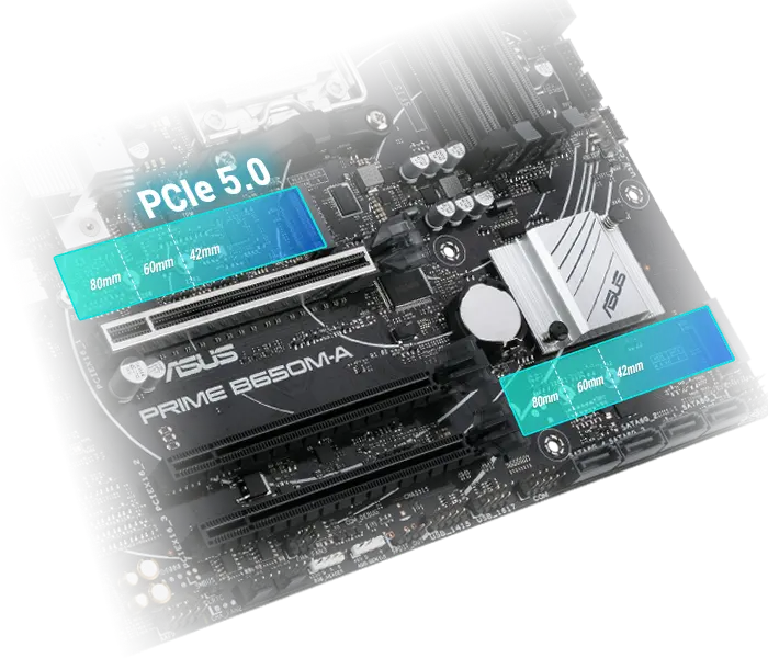 7.webp