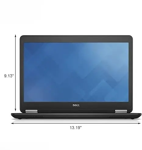 5.webp