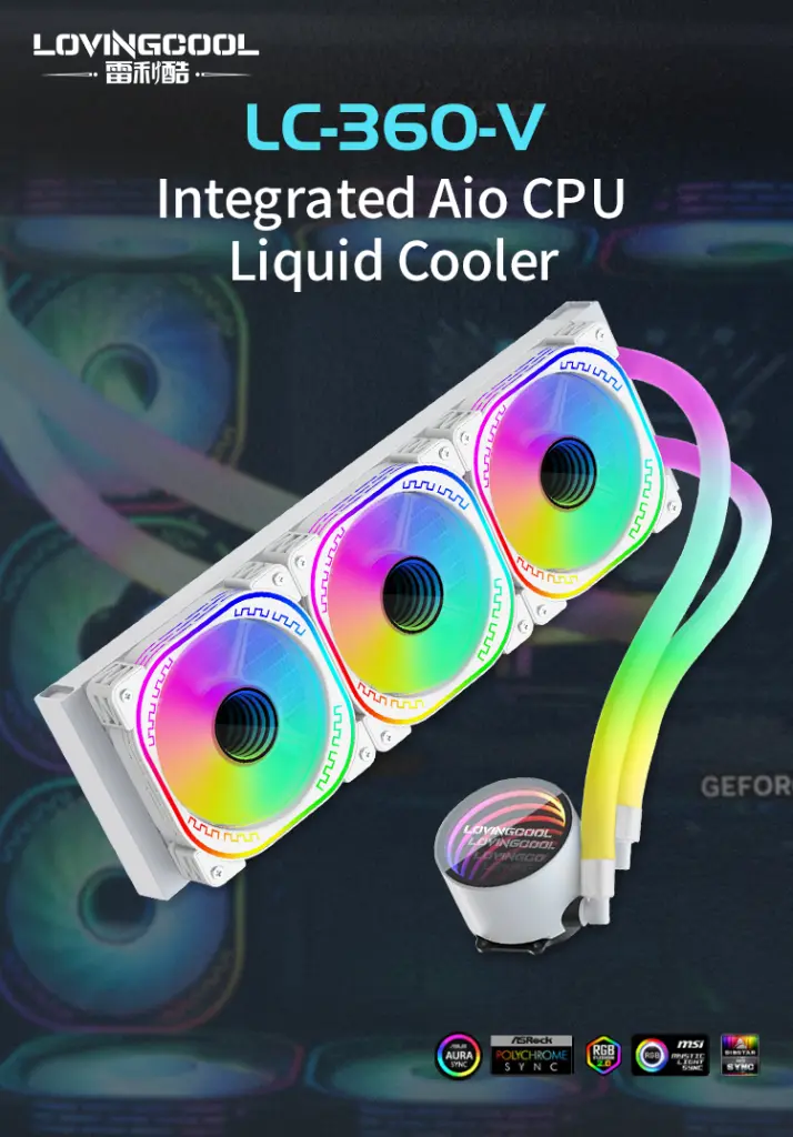 6.webp