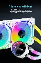 8.webp