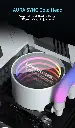 7.webp