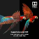 71UiwLVJOaL._SX522_.webp