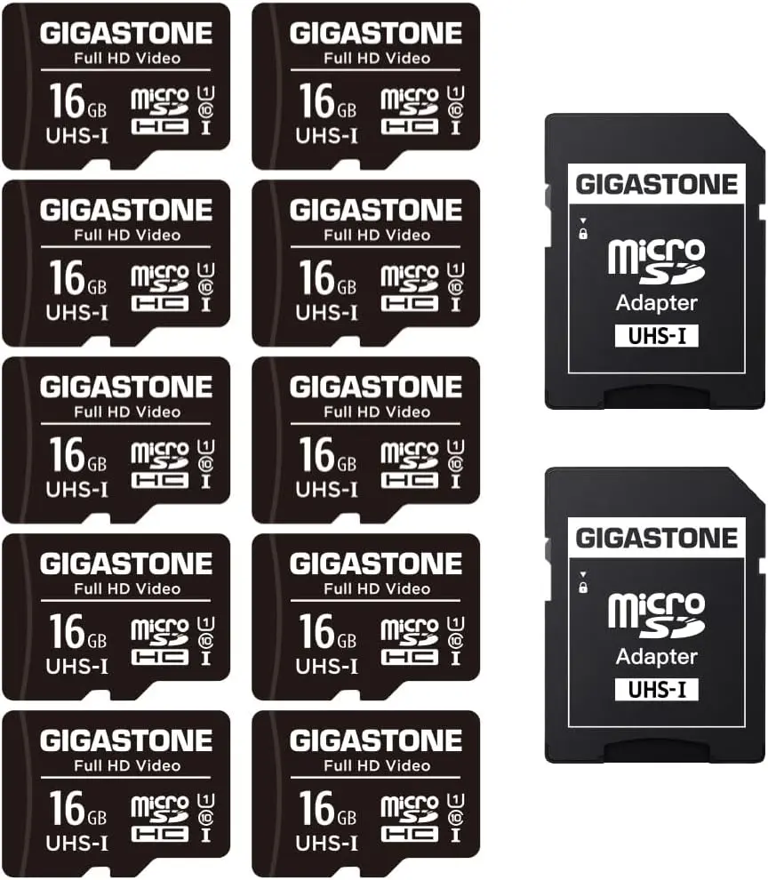 GIGASTONE + TEAMGROUP 16GB MICRO SD
