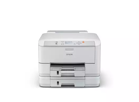 EPSON Printer m5190