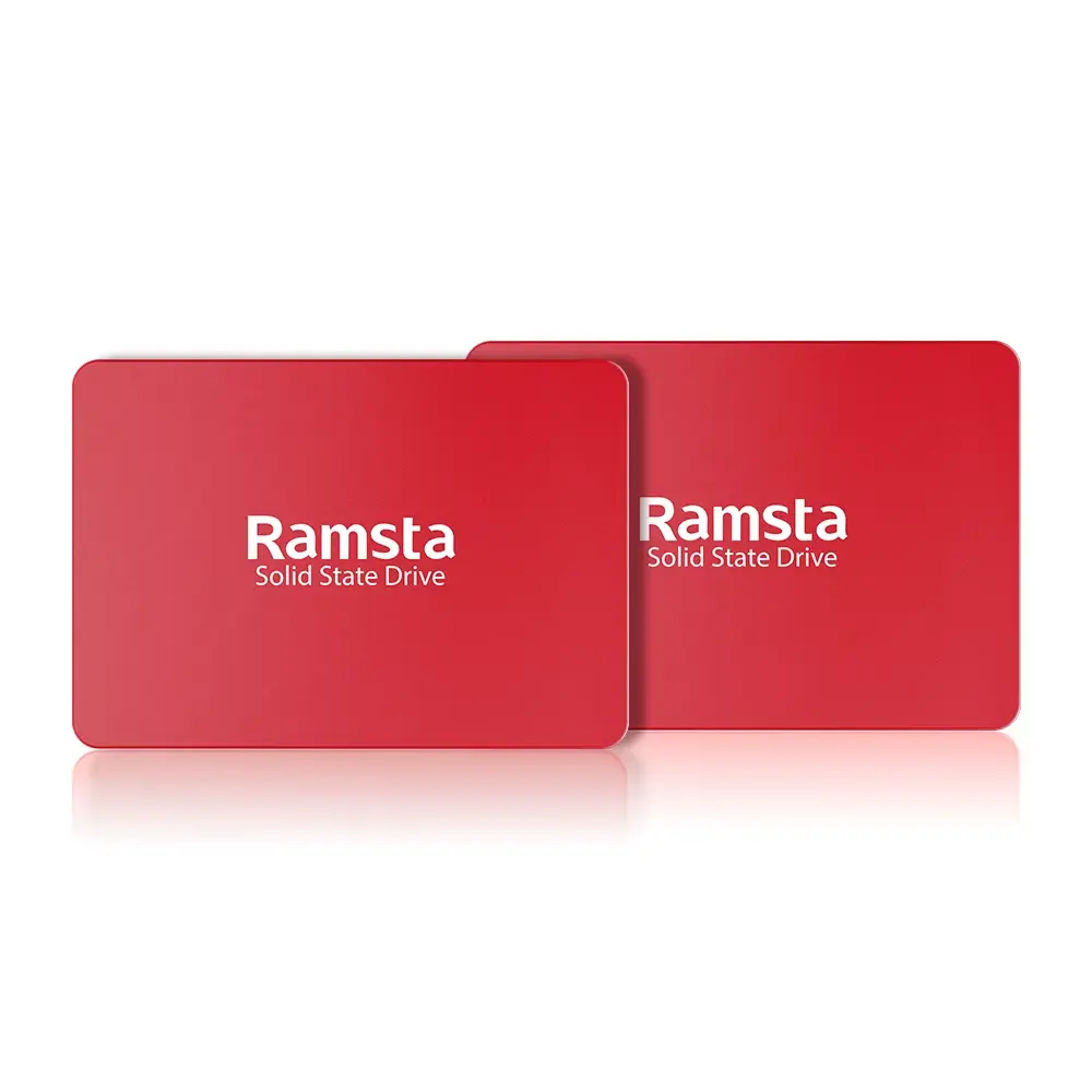 ramsta solid state drive 2tb