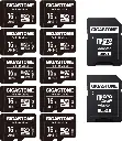 GIGASTONE + TEAMGROUP 16GB MICRO SD