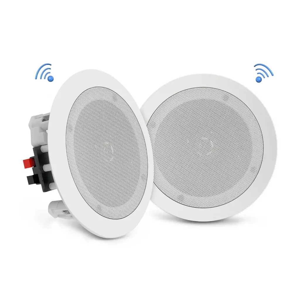 speaker lgi 40w 2ch