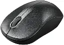 Mouse FD V1