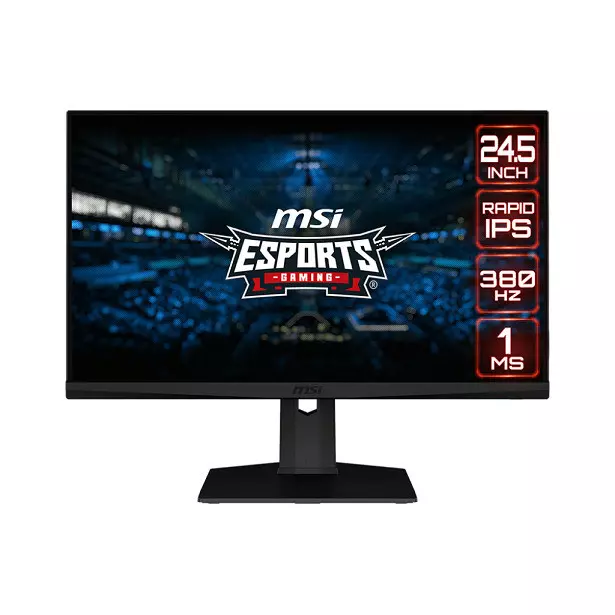 MSI G253PF 25 FHD (1920 x 1080) 380Hz 1MS IPS Flat