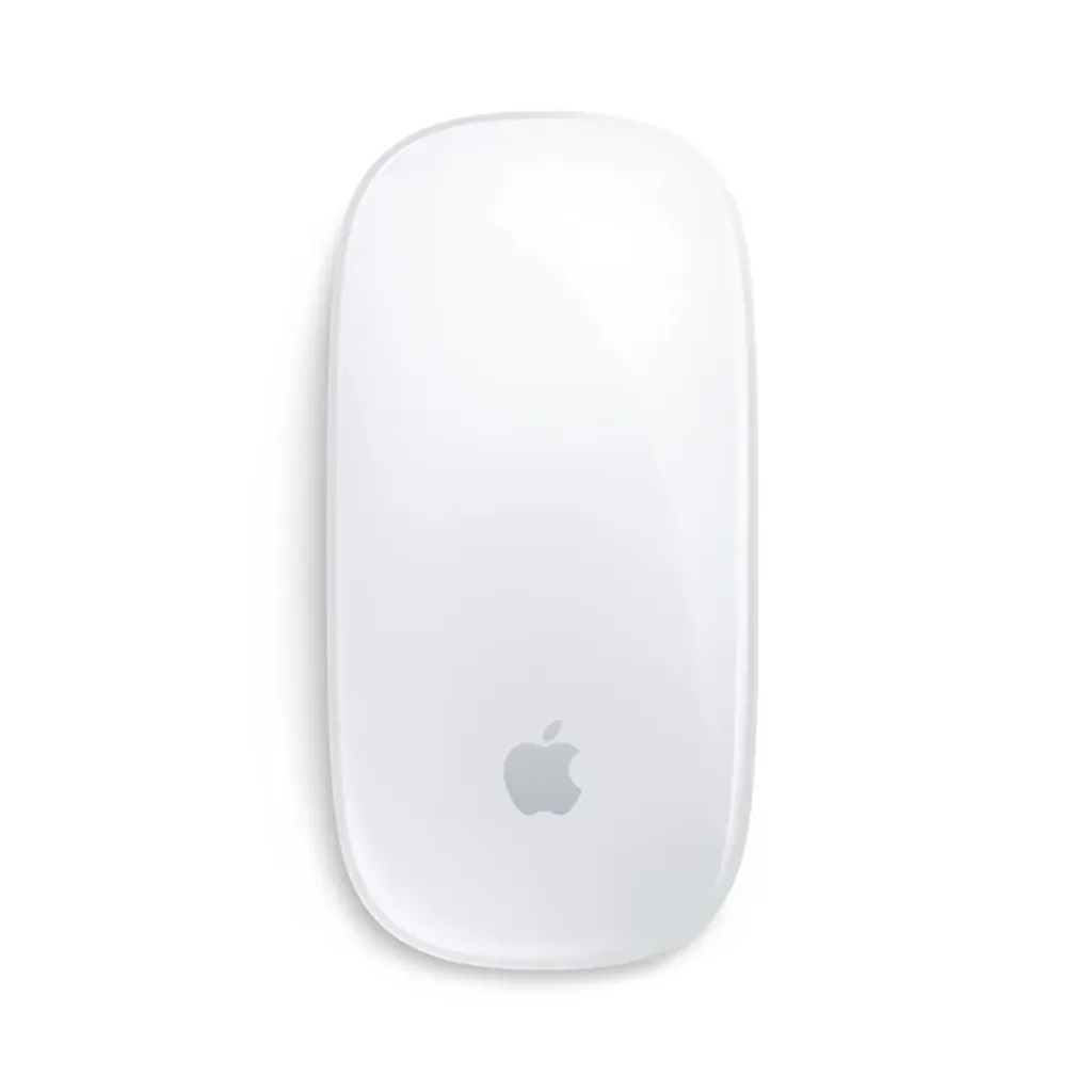 Apple Magic Mouse USB-C  (USED)