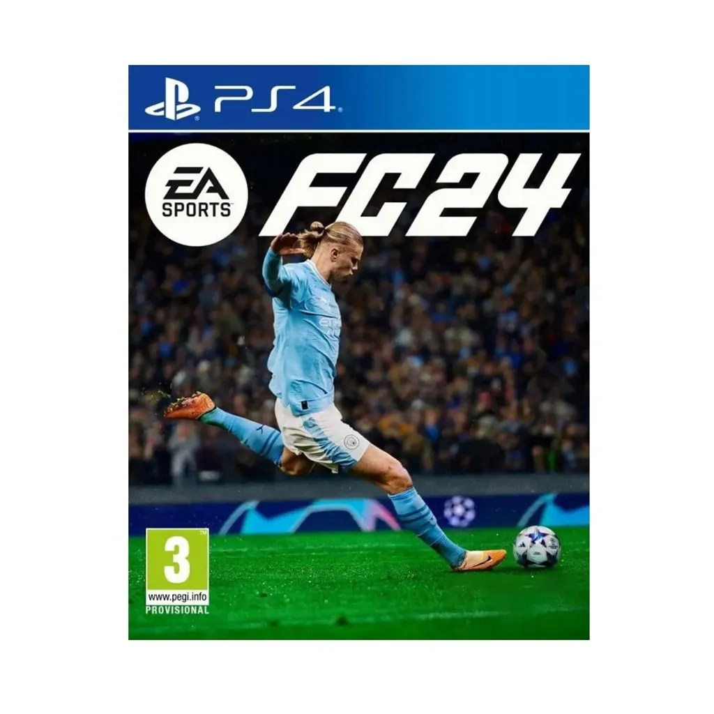 FC 24 Standard (USED)