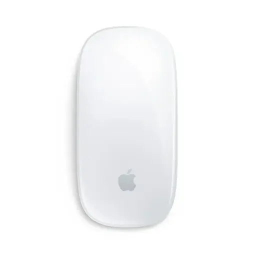 Apple Magic Mouse USB-C  (USED)
