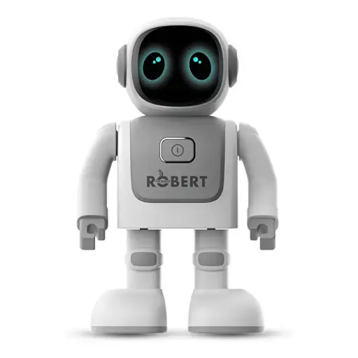 [NQ2150] Robert Program Dance