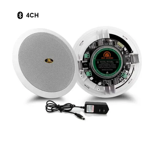 [NQ2799] ceiling speaker rh31bl