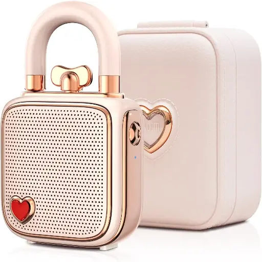 [NQ723] Divoom LoveLock - pink
