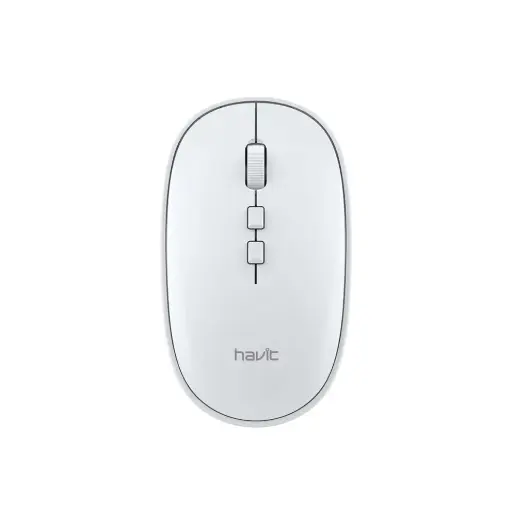 [NQ2530] Havit MS79GT Mouse  Wireless 